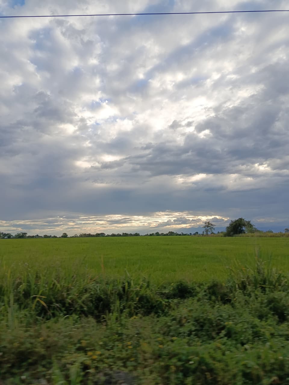 Terrenos agrícolas del Espinal Tolima
